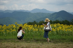 こっち向いてえ