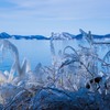 樹氷の湖