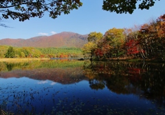 よくある風景