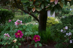 DSC01768