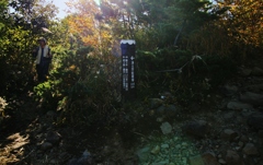 分岐点