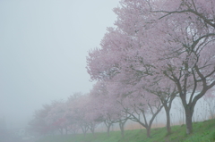 石川町桜谷4