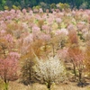 DSC01667の2