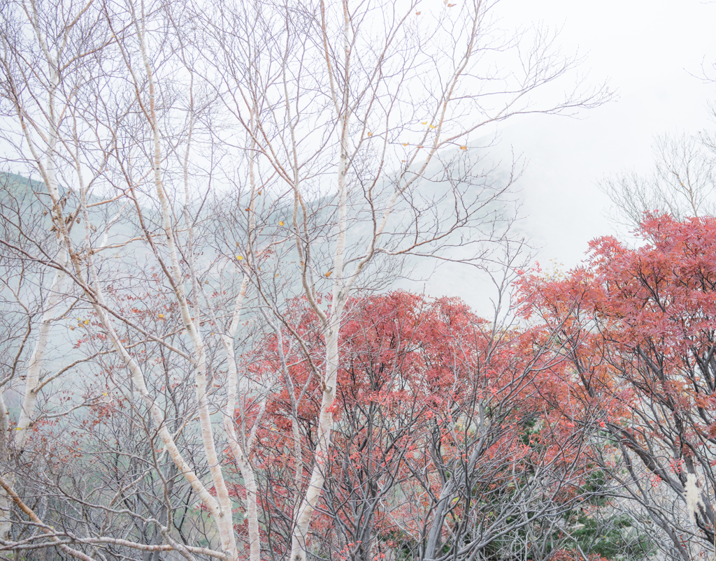 山間の朱