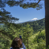 新緑の富士