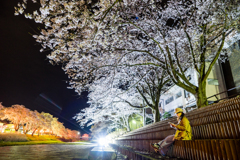 私の町の夜桜四