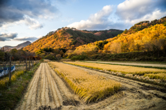 山里の夕