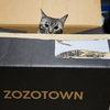 ZOZOからの贈り物