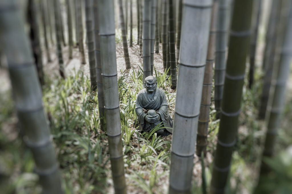 見ておるぞ