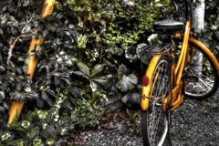 道端の自転車