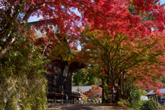 秩父札所 第1番　四萬部寺