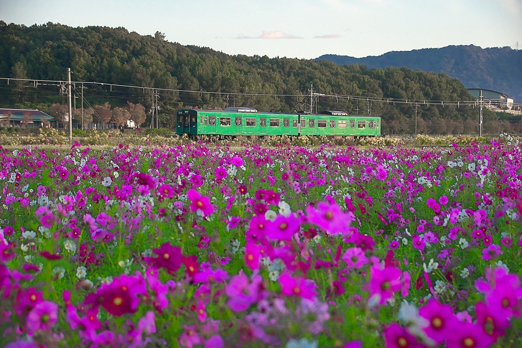 日本風景１４８６鉄道