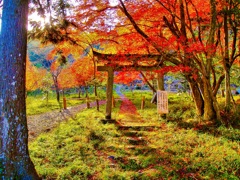 風景２２４　山寺　 秋