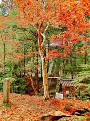風景１９５　山寺　秋