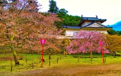 風景４４６　出石　春