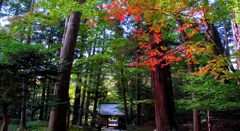 風景２６８ 山寺　秋
