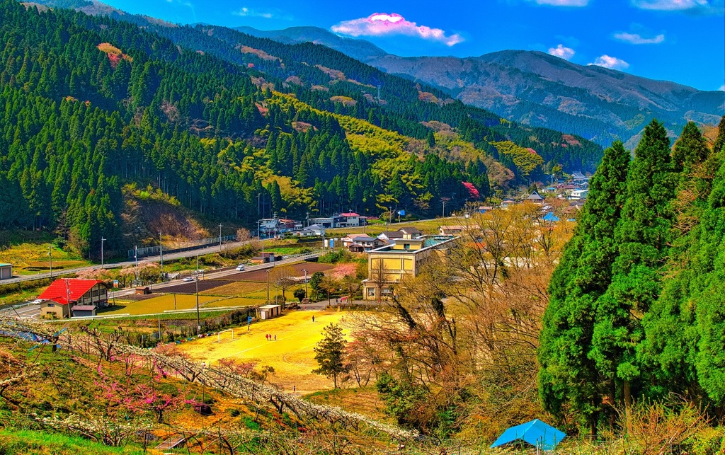 風景４１５　学校