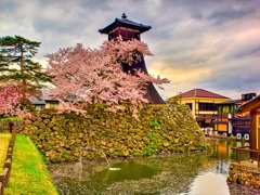 日本風景８７５　桜と辰鼓楼