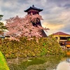 日本風景８７５　桜と辰鼓楼
