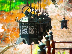 日本風景１３７４　釣り灯篭
