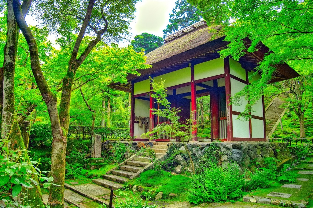 日本風景８１６　京都　寺