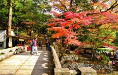 風景２４７　山寺　秋