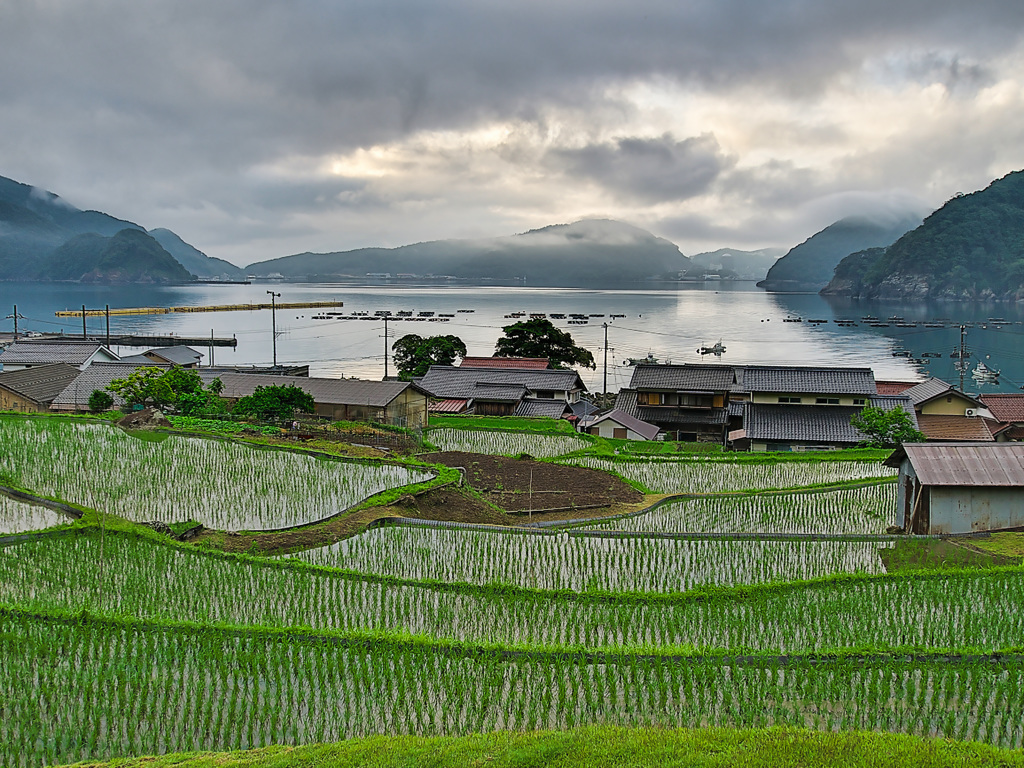 日本風景１０７３　棚田