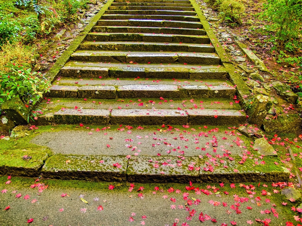 風景２３１　山寺　 秋