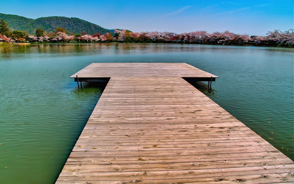 日本風景７１８　京都　庭