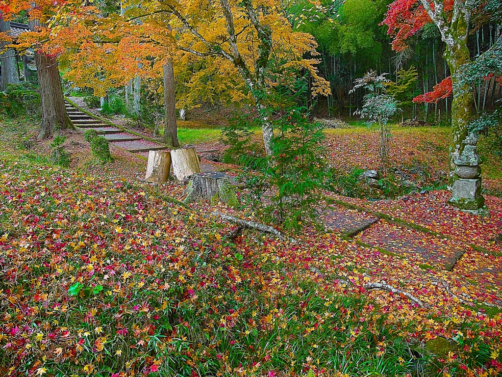 日本風景１２５０　秋