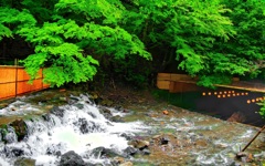 日本風景８０７　京都　川床