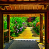 日本風景１０１０　紫陽花と寺