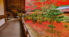 風景２６４ 寺　秋