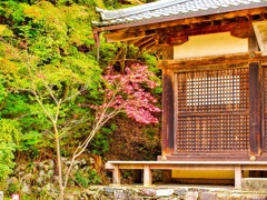 風景１８６　京都　秋　