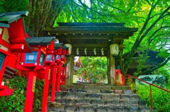 日本風景８０７　 京都　神社