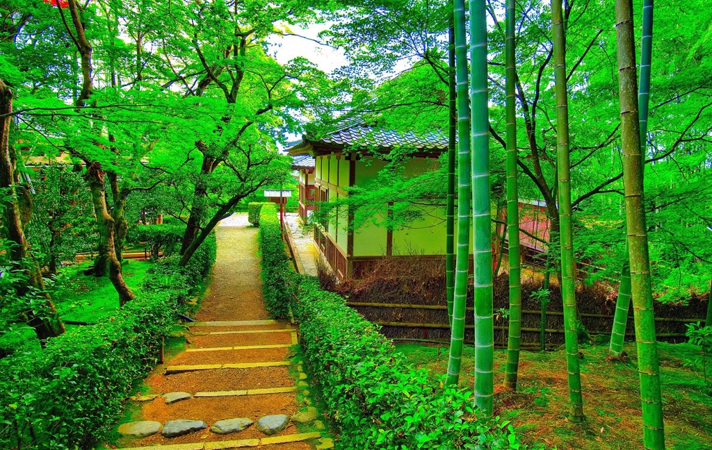 日本風景８１３　京都　寺