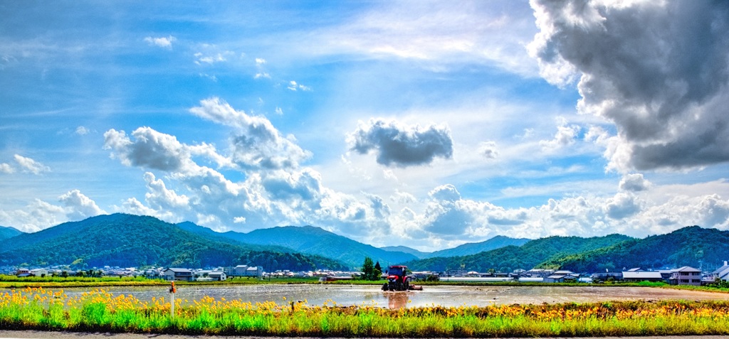 日本風景９２１　田園