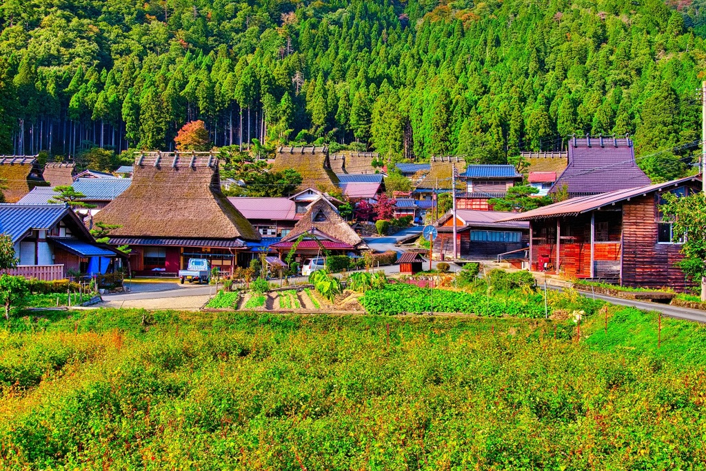 日本風景８５６茅葺
