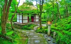 日本風景８１７　京都　寺