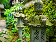 日本風景９９６　灯篭