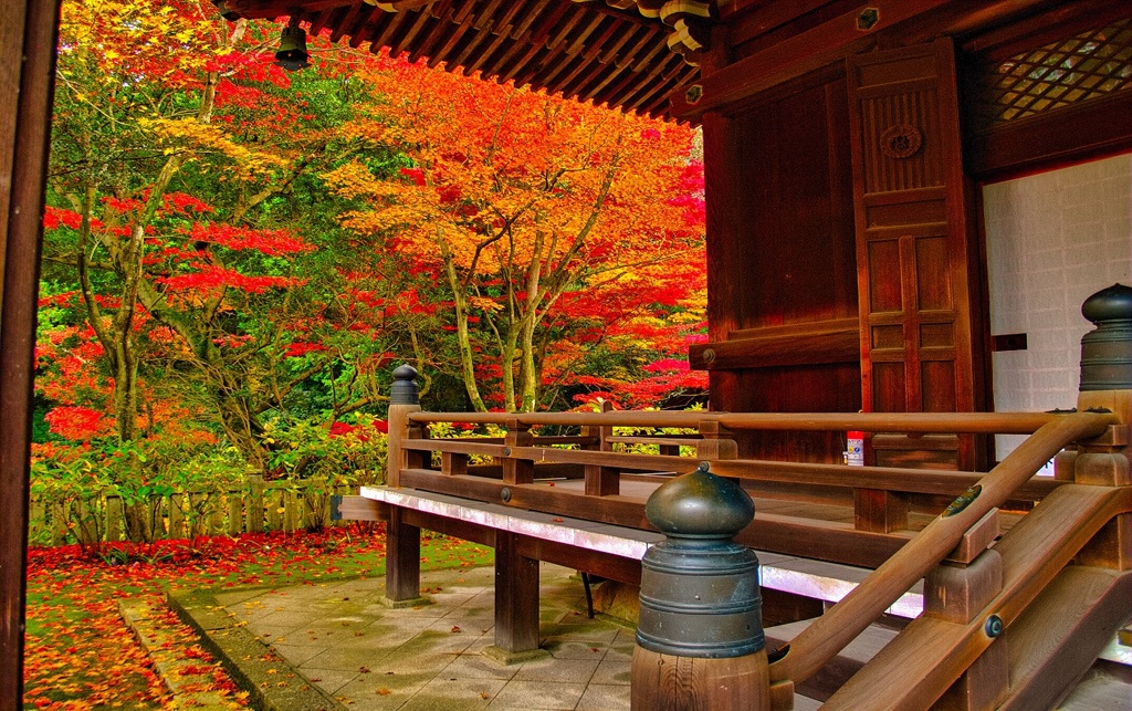 風景２６５ 寺　秋