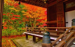風景２６５ 寺　秋