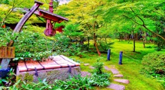 風景１７５　京都　寺　庭井戸