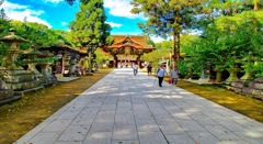 風景１７９　京都　神社