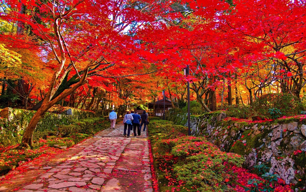 風景３０９ 寺　秋