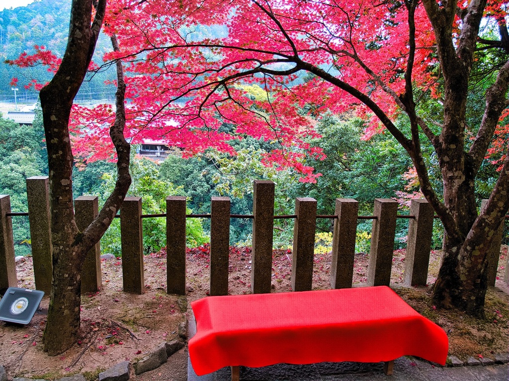 風景２４５　山寺　秋