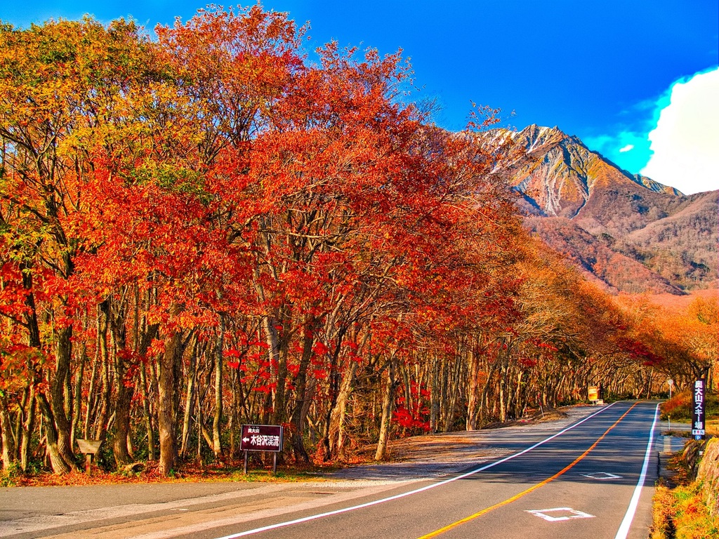 風景３７８　大山