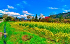 風景４１０　大山街道