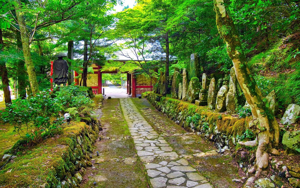 日本風景７７５　寺　　参道