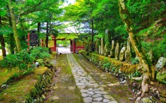日本風景７７５　寺　　参道
